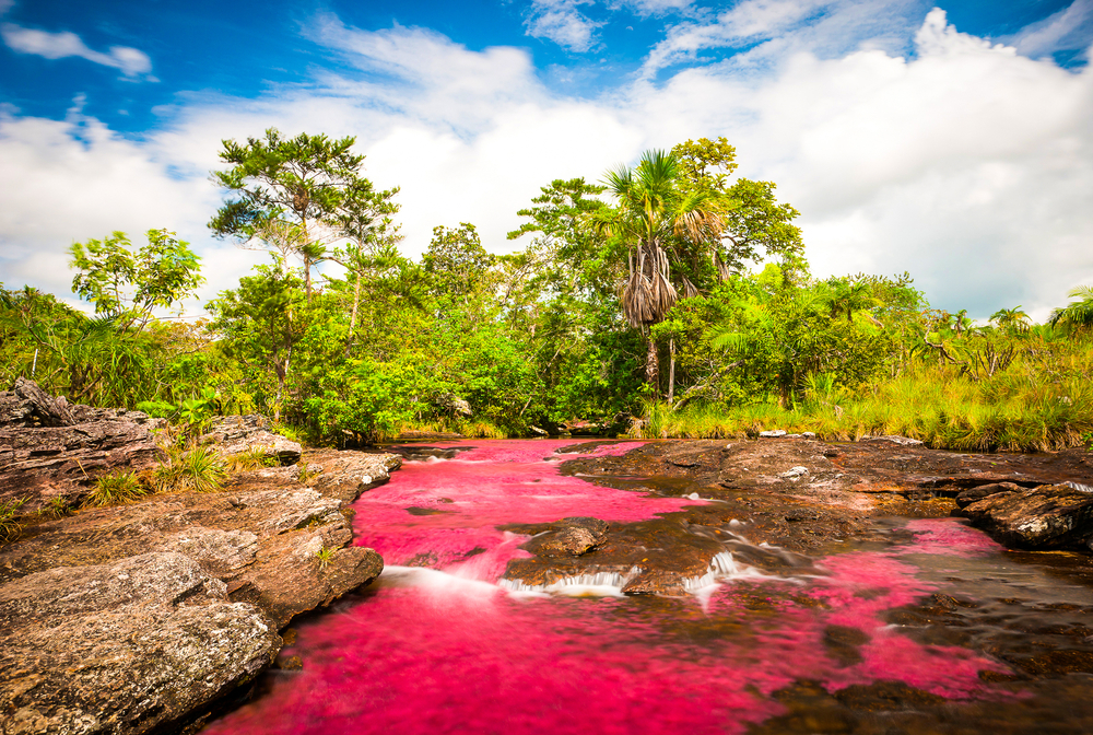 colorful river Caño Cristales, Colombia