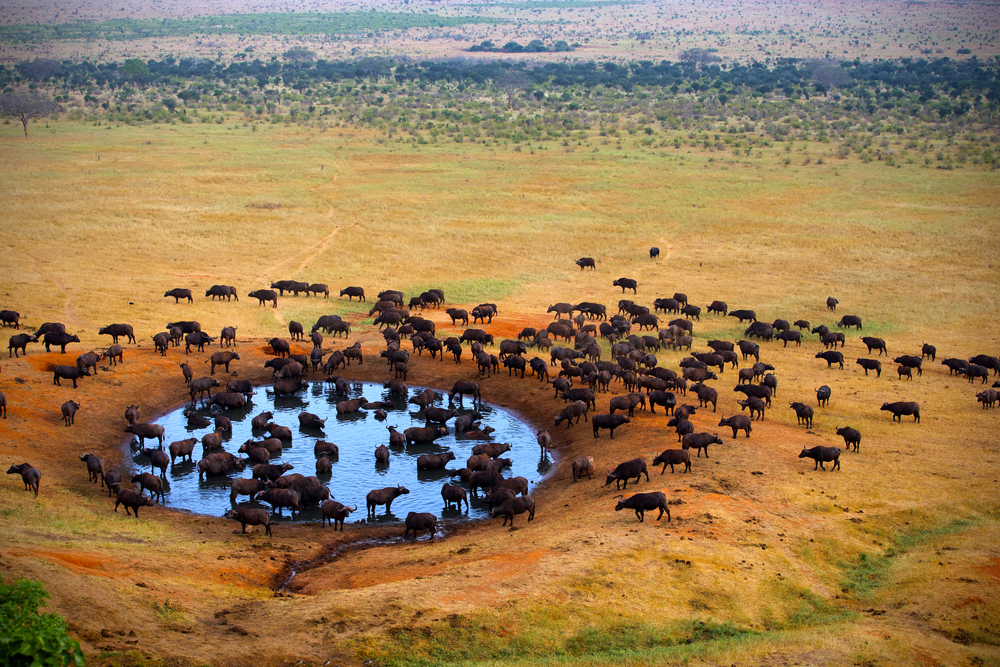 solo female travelers in Kruger National Park