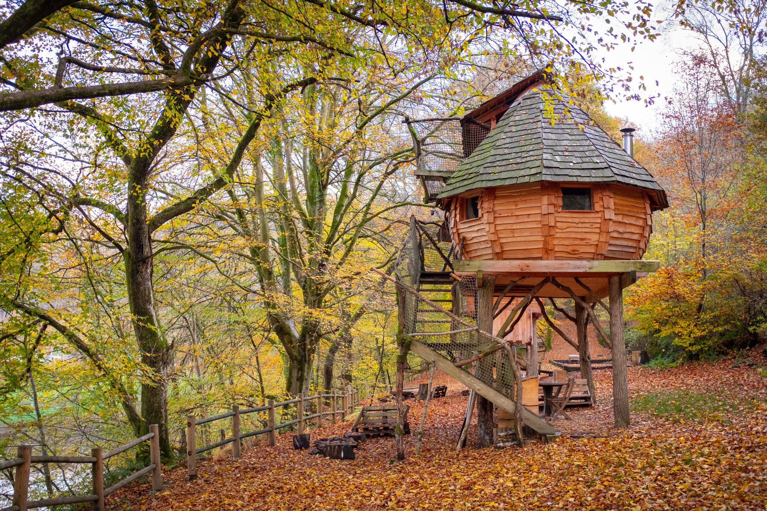 Treehouse living