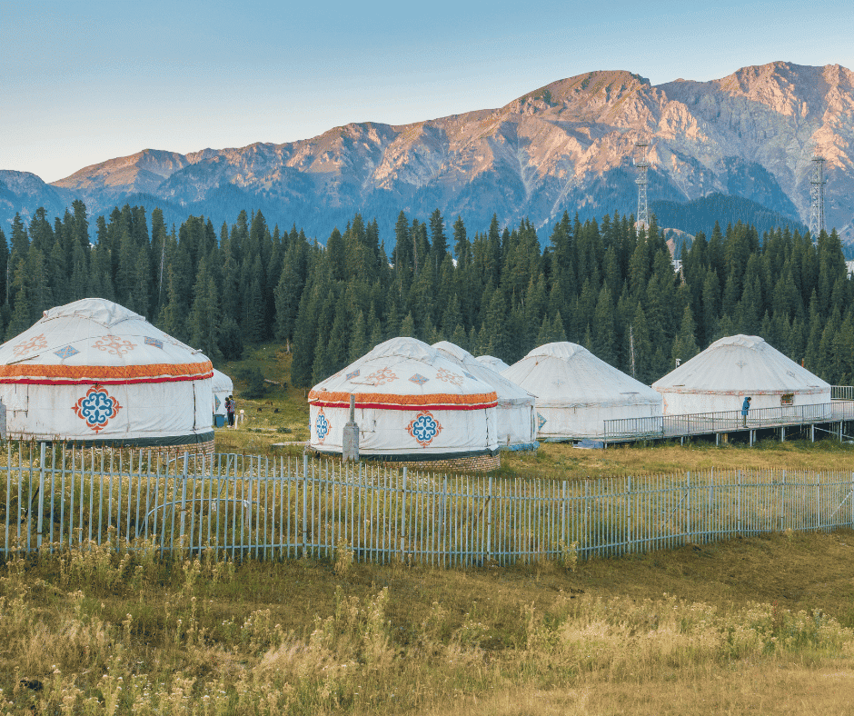 solo tour mongolia