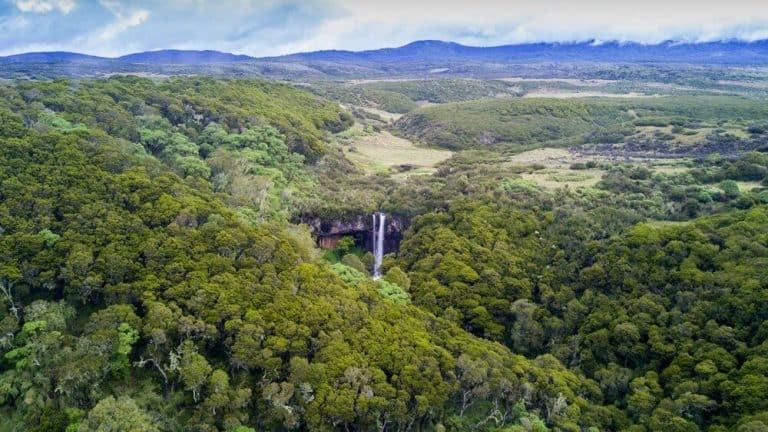 beautiful lush forest with a waterfall in the middle below the blue mountain horizon in Kenya, Africa in an article about the best time to visit Africa.