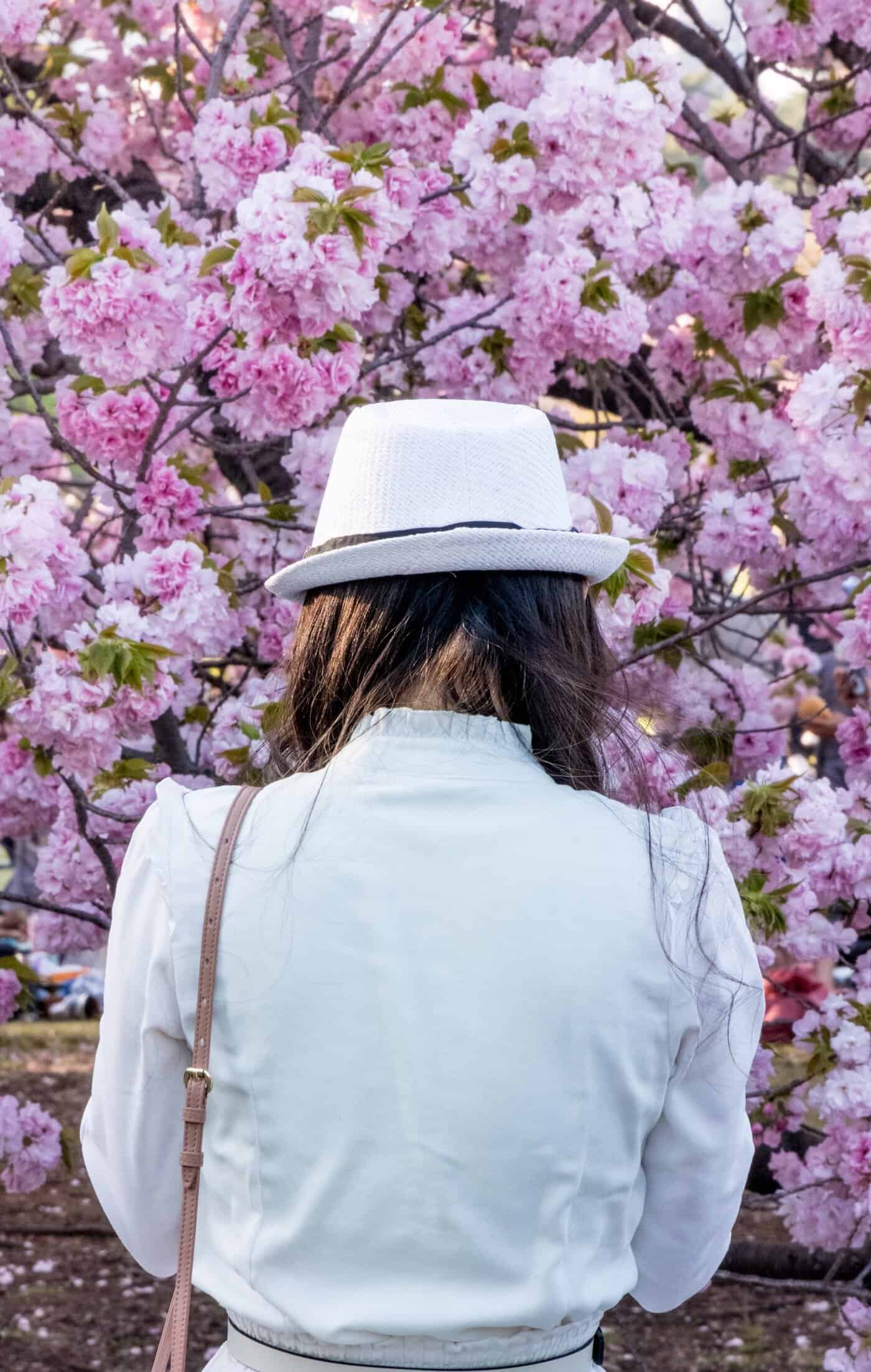Japan Cherry Blossom Trip for women