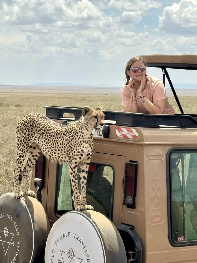 A cheetah standing on the back of a SoFe safari truck in the Serengeti