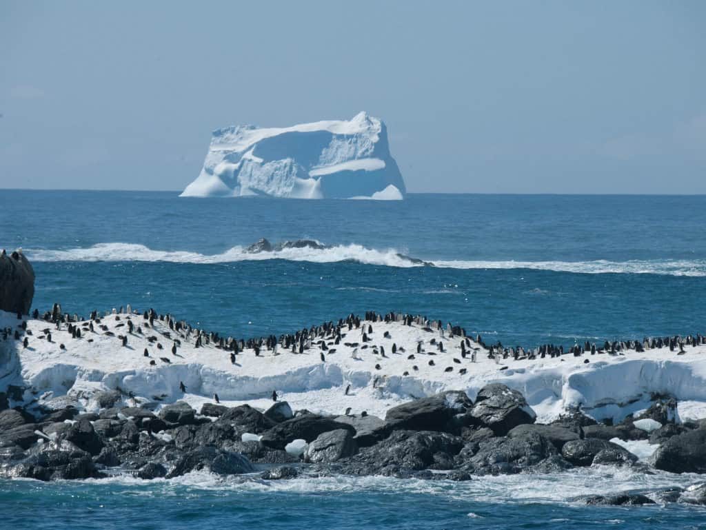 Antartica