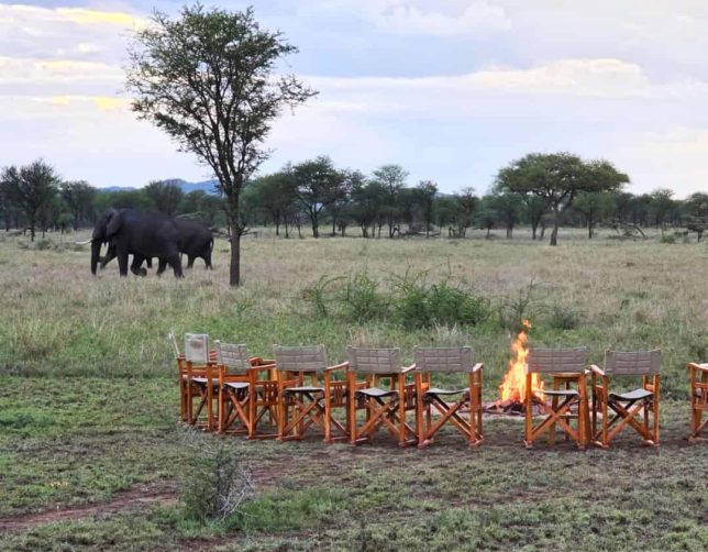 Campfire Dinner in Serengeti with SoFe