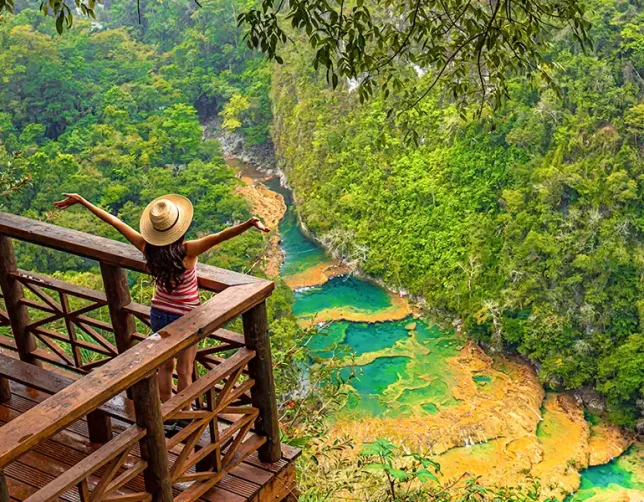 Cloud forest Guatemala 4