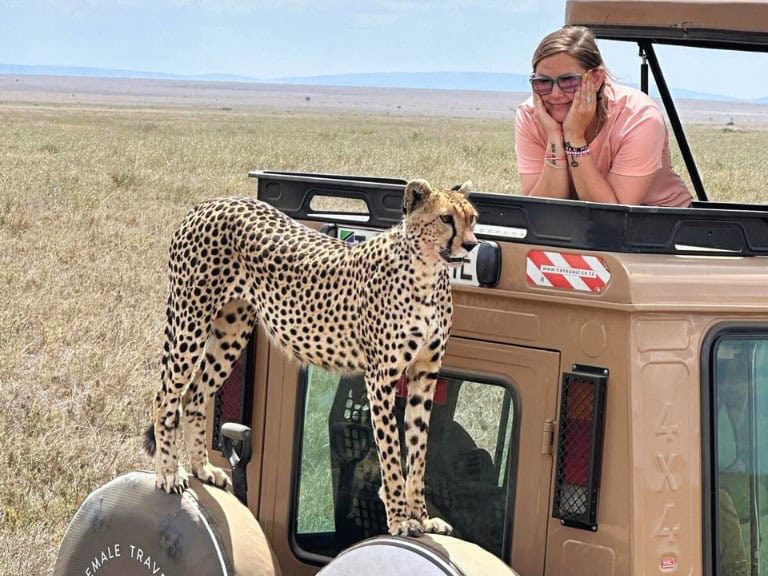 Epic Safari Game Drive in Tanzania SoFe Meetup Tour