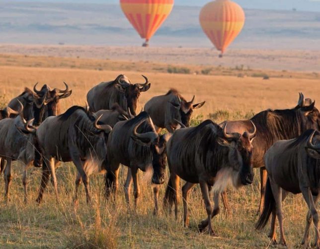 Great Migration