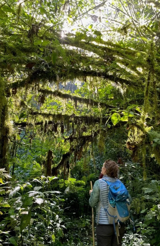 Guatemalan Cloud Forest Women-Only Tour.jpg
