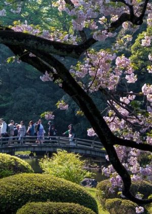 Japan_Top6SafestAsianCountries_SoFe