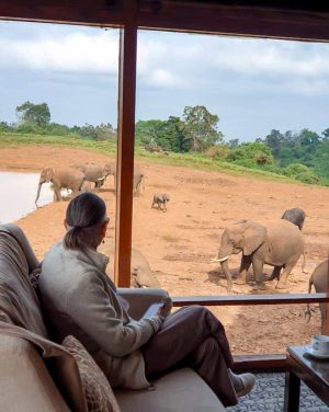 Kenya SoFe Meetup Tour (6)