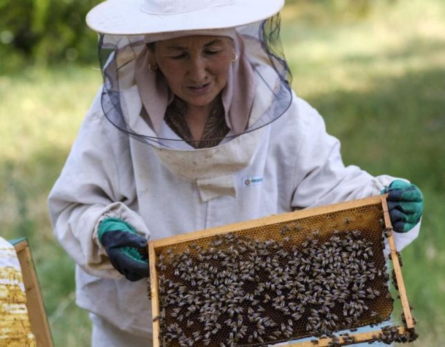 Kyrgyzstan female beekeepers