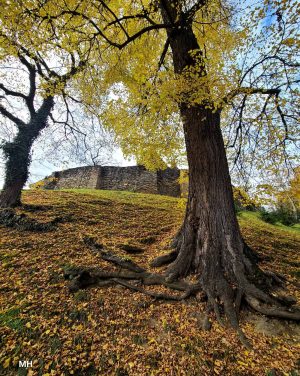 Romania (14)