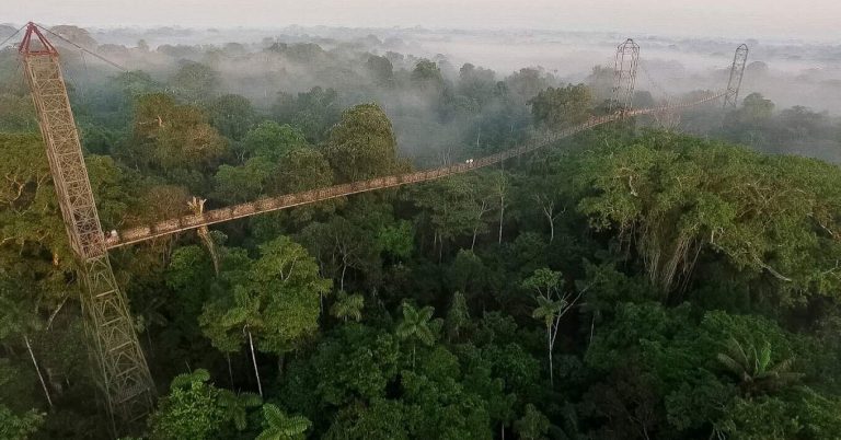 Women Only Tour to Ecuadorian Amazon. Suspension Bridge.