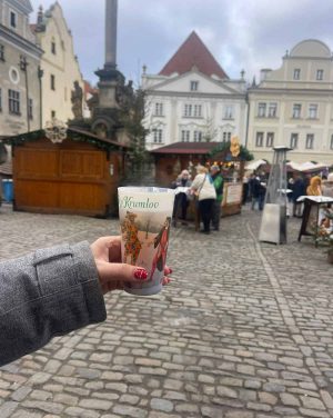 SoFe European Christmas Markets Tour 18
