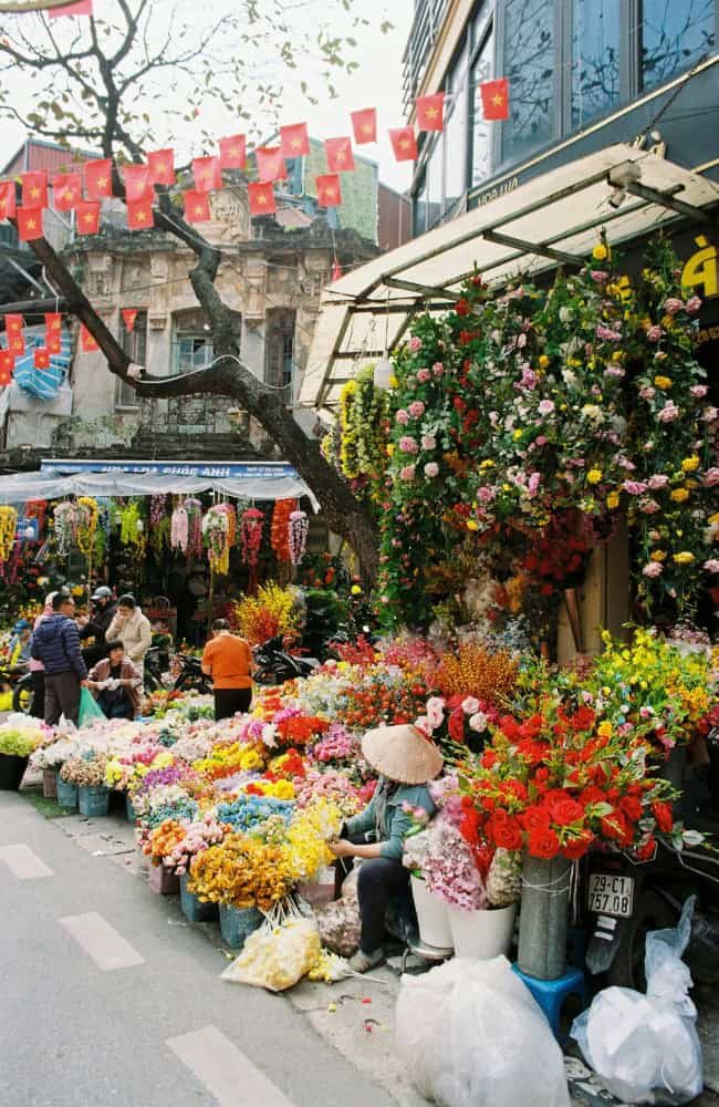 SoFe Travel - Hanoi