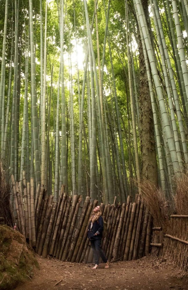 bamboo japan bamboo Japan on women only tour