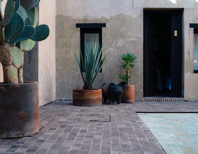 casa Levonka Oaxaca 1
