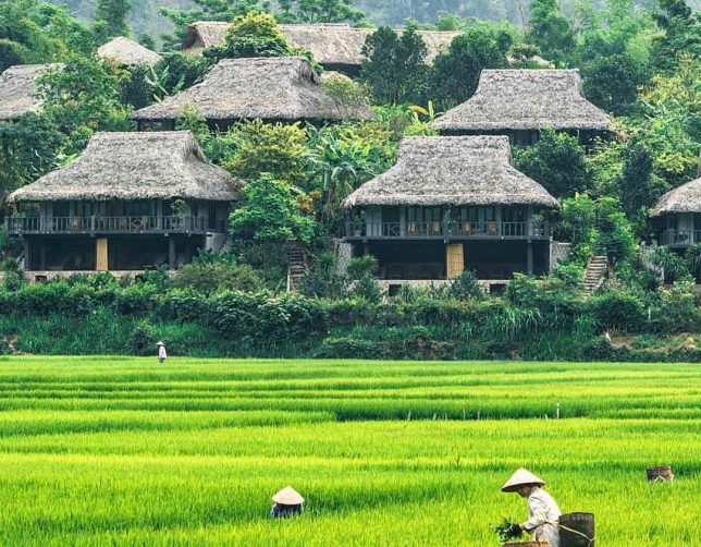 mai-chau-farms