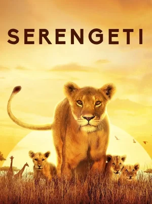 serengeti 2019
