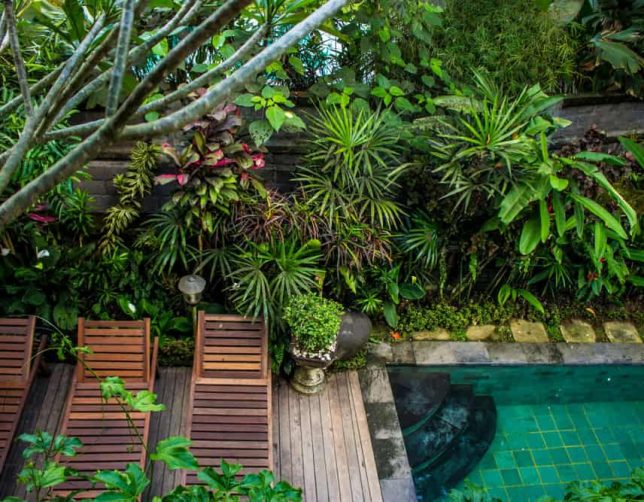 women travel solo to bali jungle