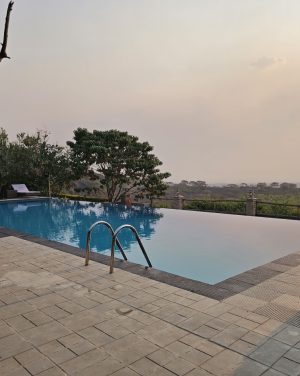 the Elephant Hub pool