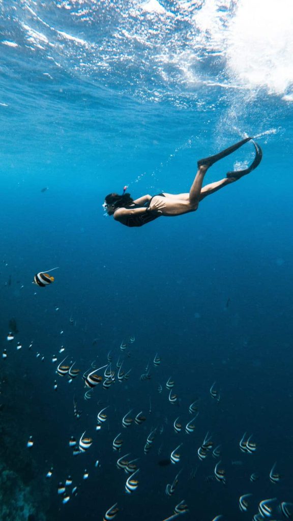 women-only tour, snorkeling, ocean safari, Baja mexico